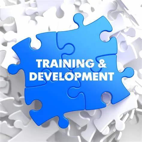 Training & Development